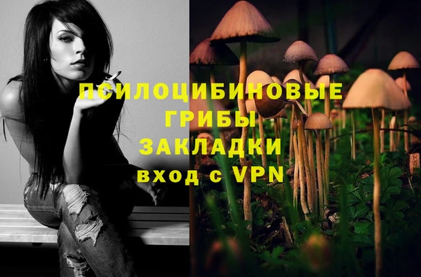 mix Горнозаводск