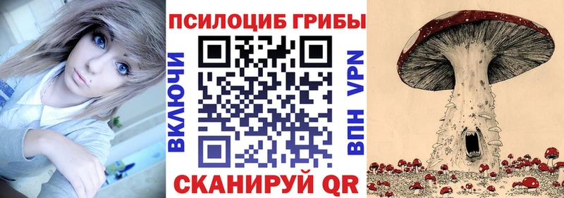 Псилоцибиновые грибы прущие грибы блэк спрут рабочий сайт Астрахань